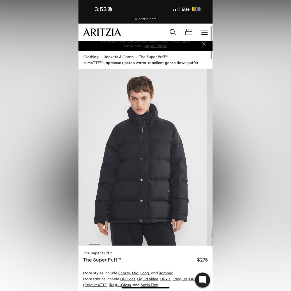 Aritzia The Super Puff jacket!